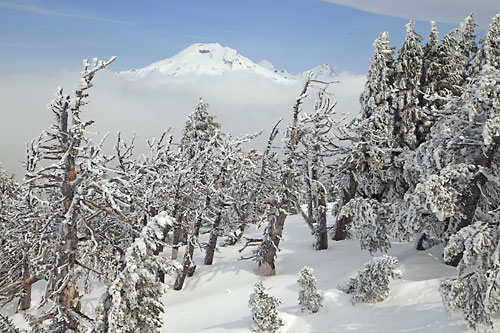 The Sisters from Mt. Bachelor Oregon
