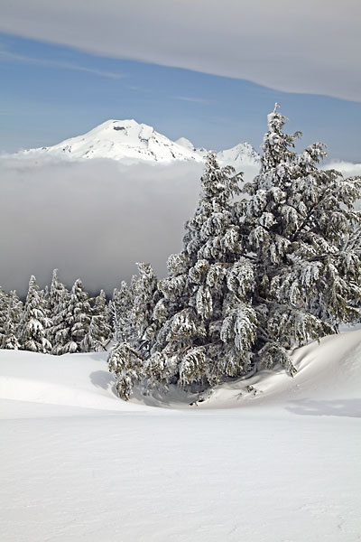 South Sister and nice powder spring skiing from Mt. Bachelor Oregon