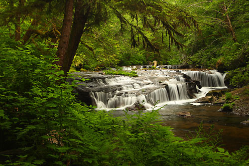 Sweet Creek Oregon Coast Range Mapleton