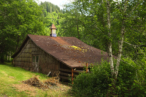 Sweet Creek Oregon Coast Range Mapleton