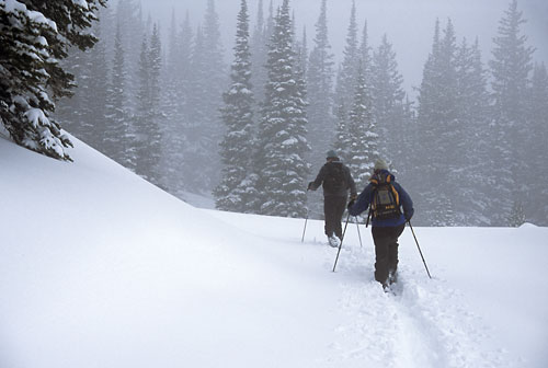Backcountry skiing, telemark skiers, hiking, breaking trail, Wasatch Mountains, Utah, skinning, photographer - David Whitten Photography
