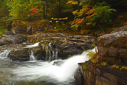 Steamboat Canton Creek Umpqua National Forest Oregon