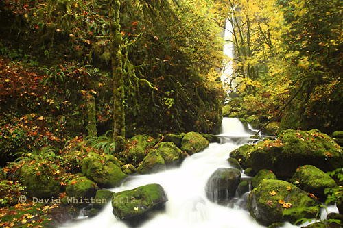 Elowah Falls Columbia River Gorge Oregon