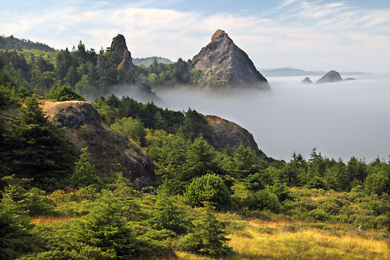 Oregon Coast cliffs, Seastacks and fog