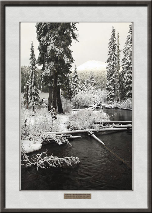 Trapper Creek Odell Lake Willamette Pass Oregon