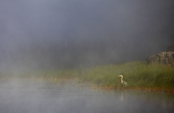 Sunrise, Crane Prairie Lake, Heron, Cascade Mountains, Oregon.