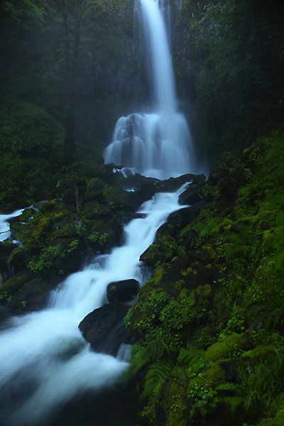 kentucky falls Oregon Coast Range Mapleton