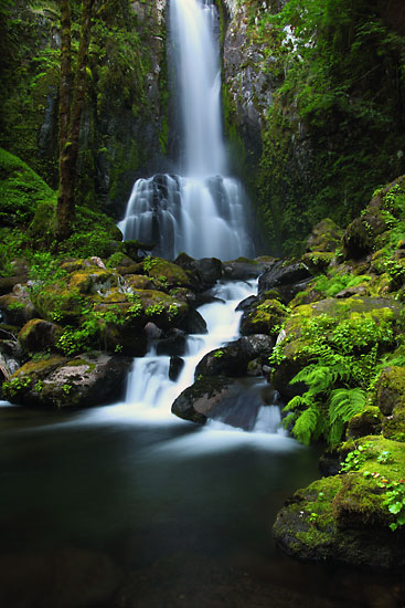 kentucky falls Oregon Coast Range Mapleton