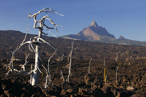 Mt. Washington Lava Flows McKenzie Pass Oregon