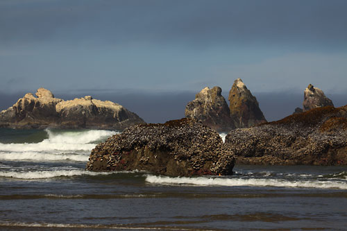 Bandon Beach Oregon