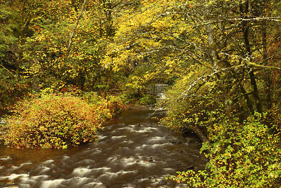 Trails and Waterfalls in the Columbia Gorge, Oregon