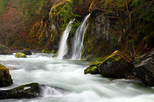 Salmon Creek near Oakridge Oregon