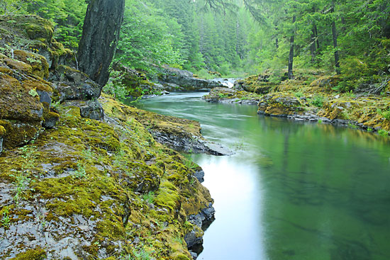 Steamboat Creek, Oregon