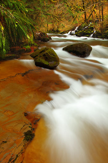 Sweet Creek Oregon Coast Range Mapleton