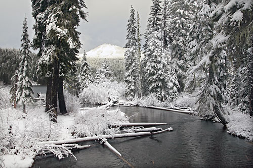 Trapper Creek Willamette Pass Eagle Peak Odell Lake