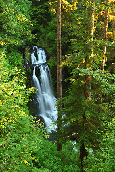 Upper Kentucky Falls Oregon Coast Range Mapleton