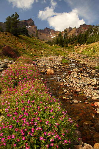 Wildflowers and Crater Creek, Broken Top Mountain, Cascade Mountains, Bend, Oregon