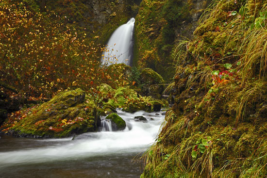Trails and Waterfalls in the Columbia Gorge, Oregon