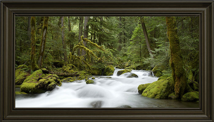 The River Through The Rainforest Fine Art Photography, Oregon, Cascade Mountains Old Growth