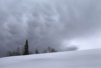 Snowy Mountain Scene Empire Pass Wasatch Mountains Utah David Whitten Photo
