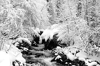 Black and White Photograph Big Cottonwood Creek, Wasatch Mountains, Utah