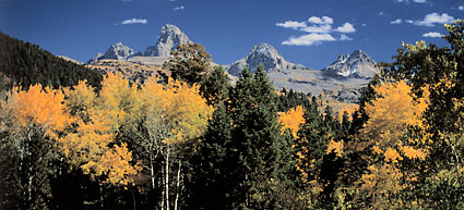 Grand Teton Range From Grand Targhee photography Autumn Aspen Trees Wyoming