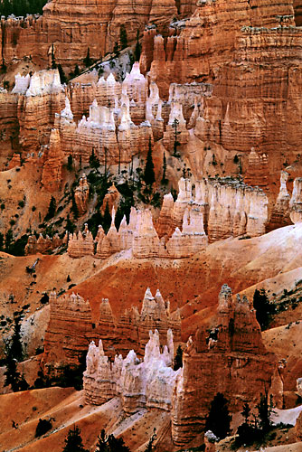 Bryce Canyon National Park photograph, Utah Photographer David Whitten
