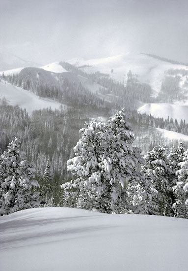 Deer Valley Mountain Resort, Empire Bowl, Park City, Utah, Wasatch Mountains, Empire Canyon
