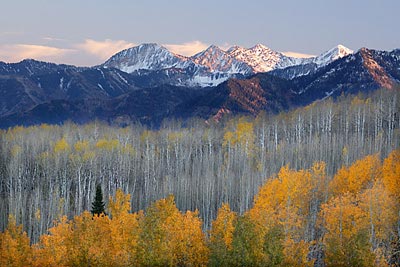 Cascade Mountain, Wasatch Mountains, Utah