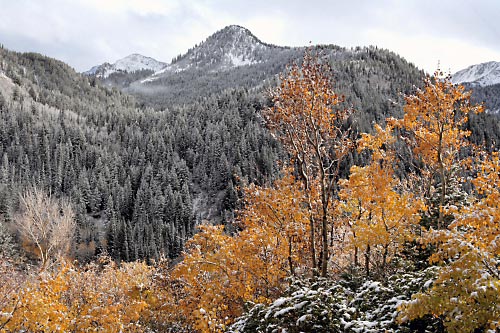 Little Cottonwood Canyon Wasatch Mountains Utah