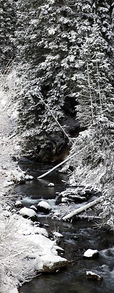 Big Cottonwood Creek, Wasatch Mountains, Utah Black and White Photograph