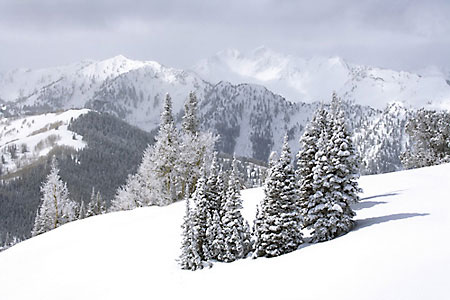 Winter Snow Wasatch Mountains Park City photograph Utah