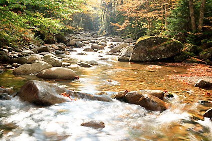 Little River, White Mountains, New Hampshire