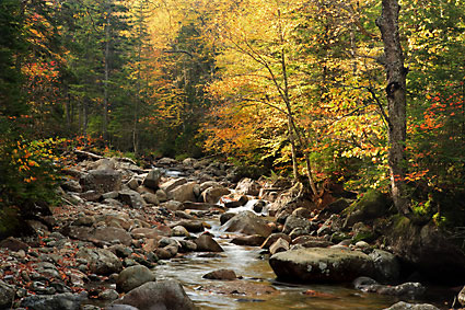Gale River, White Mountains, New Hampshire