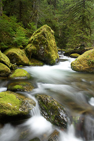 Wall Creek near Oakridge, Oregon