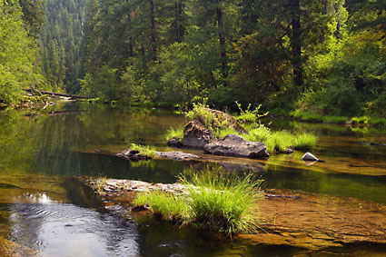 Steamboat Creek, Willamette National Forest, Oregon