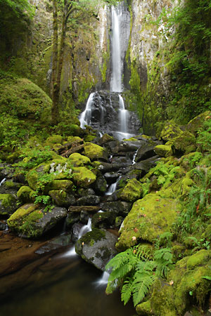 Kentucky Falls Siuslaw National Forest Oregon