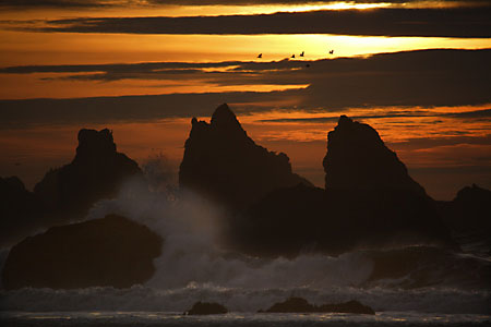 Bandon Beach Sea Stacks Oregon