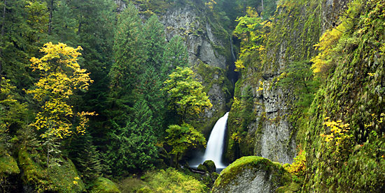 Wahclella Falls Columbia Gorge waterfalls photograph Oregon
