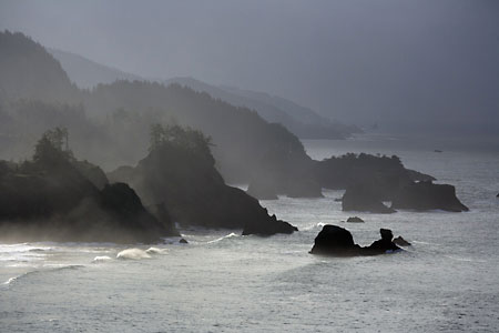  Oregon Coast fog near Brookings and Gold Beach Samuel H Boardman State Park Oregon Coastline