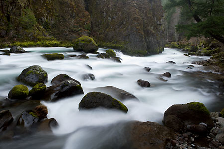 Salmon Creek Willamette National Forest Oregon