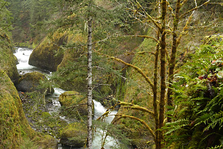 Eagle Creek Columbia River Gorge Oregon