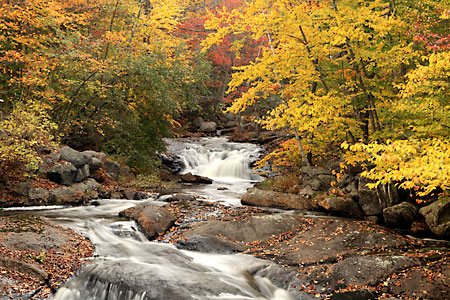 Kimpton Brook, New Hampshire