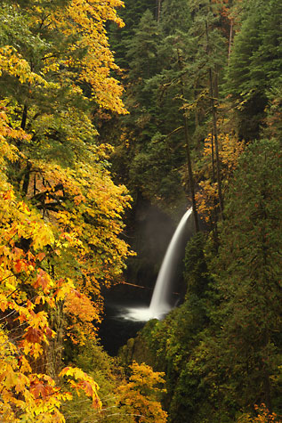 Metlako Falls Eagle Creek Columbia River Gorge Autumn Oregon Waterfalls Photography