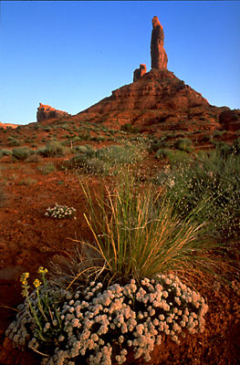 Valley of the Gods State Park, Utah