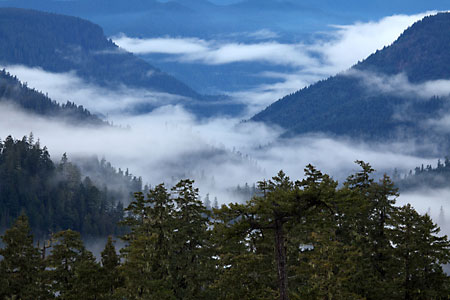Low Clouds Salmon Creek Willamette National Forest Oregon