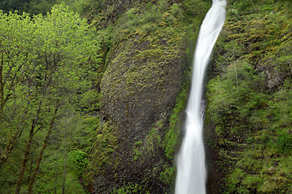 Horsetail Falls Columbia River Gorge Waterfalls