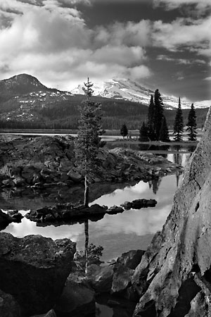 Bend Oregon Sparks Lake Geese South Sister Deschutes National Forest Oregon Black and White Photograph