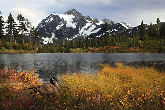 Mt. Shuksan Picture lake North Cascades National Park Washinton Mt. Baker Autumn Foliage Photographer David Whitten