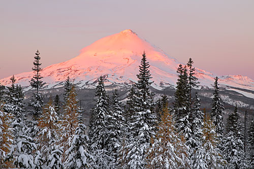 Mt. Hood photograph Oregon Sunrise Winter Larch Trees